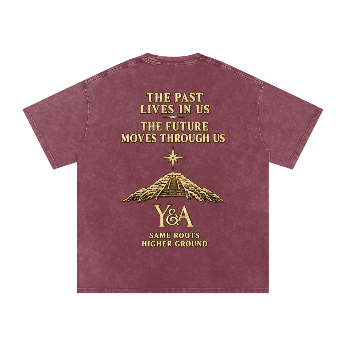 Young & Ancient Washed Oversized T-Shirt